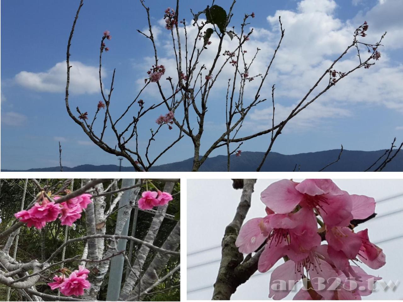 Yi Tian Homestay Fenglin Exterior photo