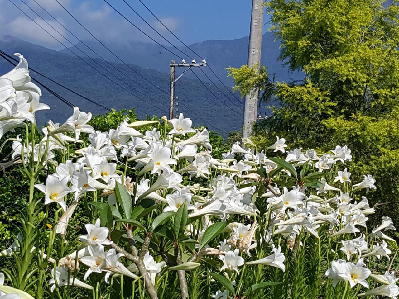 Yi Tian Homestay Fenglin Exterior photo